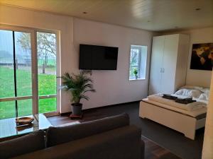 TV a/nebo společenská místnost v ubytování Kleine Landhaus-Wohnung im freistehenden Fachwerkhaus