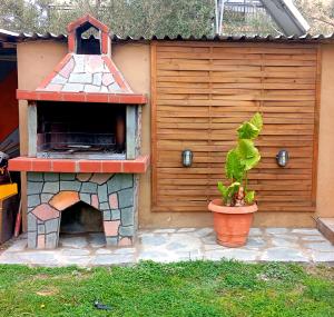 Сад в Nest in Garden