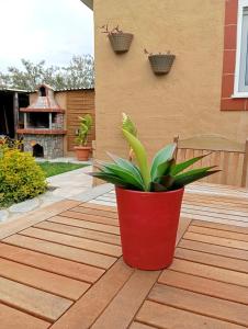 Сад в Nest in Garden