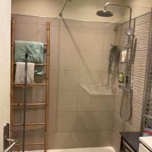 a bathroom with a shower with a glass door at Landaise 10765902 in Tarnos