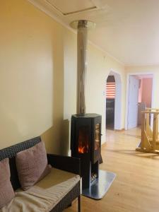 Φωτογραφία από το άλμπουμ του the house of flowers σε Osorno