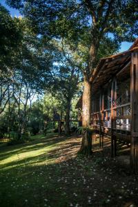 uma árvore sentada ao lado de uma casa de madeira em Bosque Da Neblina em Chapada dos Guimarães