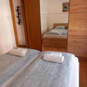 ソコバニャにあるLion apartmanのベッド2台と鏡のある寝室