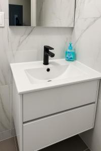 un lavabo de salle de bain blanc avec une bouteille de savon dessus dans l'établissement Le Charles III : Élégance et Sérénité, à Nancy 3 autres photos