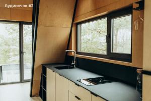 a kitchen with a sink and two windows at Будиночки для відпочинку ТРОХИ ДАЛІ in Dmitrenki +204 photos