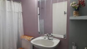 a bathroom with a sink and a mirror at eldepademarcelo in Plaza Huincul