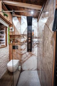 a bathroom with a toilet and a glass shower at Archontiko Theofanous 1915 in Tríkala +100 photos