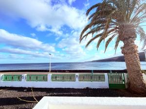 una palmera junto a una playa con el océano en La casa de la playa, en Playa Quemada