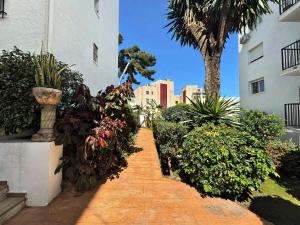 En have udenfor Colmena 69 - City Center - Swimming pool