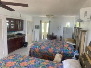 Negril beachfront oceanview studios 164 & 145的厨房或小厨房