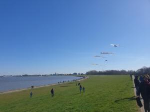 a group of people flying kites on the beach at Ferienwohnung Steubenhöft in Cuxhaven