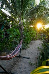 O grădină în afara Ikal Puertecito Beach front House +17 fotografii