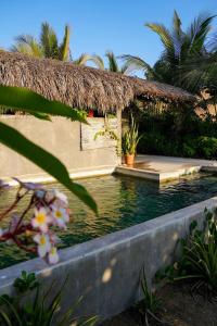 Piscina de la sau aproape de Ikal Puertecito Beach front House