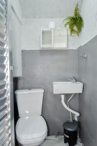 a bathroom with a toilet and a sink at Casa com Garagem in Guarulhos