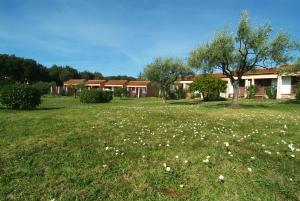 ein Grasfeld mit Blumen vor einem Haus in der Unterkunft Koversada Villas Naturist Park in Vrsar