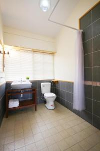 une salle de bain avec toilettes et lavabo dans l'établissement Little Time Guesthouse, à Taïtung