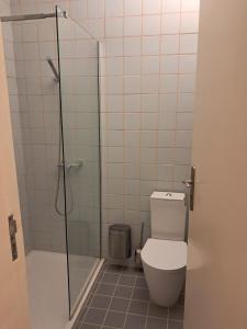a bathroom with a toilet and a glass shower at Guesthouse Cacau e Café in Santo António