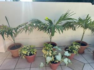 Giardino di Sikse 3BR 4bath with pool villa