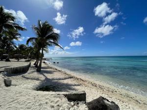 a sandy beach with palm trees and the ocean at 2BR 2BA Beachfront With View 71 in Bayahibe +22 photos
