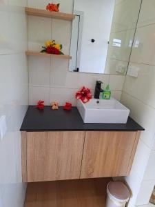 a bathroom counter with a sink and a mirror at Papeari sea side 2 Logement neuf en bord de mer in Paui +13 photos