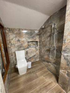 a bathroom with a toilet and a shower at Villa Çabeli in Gjirokastër