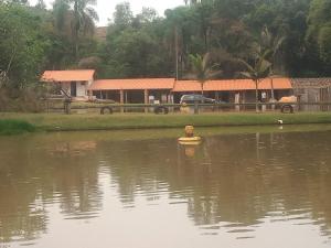 ein Hund in einem Boot in einem Gewässer in der Unterkunft Chácara Cachoeira in Socorro