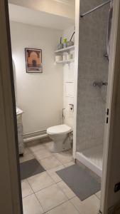 a white bathroom with a toilet and a shower at Studio meublé in Mulhouse