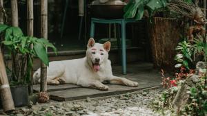 Gallery image of Nhà Không Tên in Dồng Văn