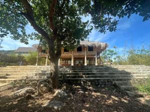 a building with a tree in front of some stairs at Suối Rồng FarmStay in Bon Tian Neume