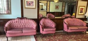 a row of pink chairs in a waiting room at Napoleon Inn and Suites in Napoleon +2 photos