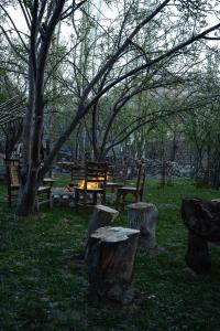 a group of benches and trees in a park at North Vibe Resort Hunza in Hunza Valley