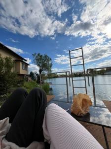 Apartmány Silvia kisállat-vendégei