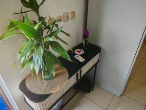 Fotografie z fotogalerie ubytování MP's Residence 104 v destinaci Pointe-Noire