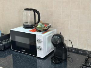 a microwave on a counter with a bowl on top of it at Fine Sleep & Fly in Chişinău