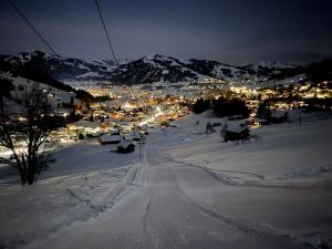 Alpenchalet Haldeli Ferienwohnung during the winter