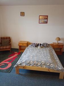 Posteľ alebo postele v izbe v ubytovaní Apartmán Bokova chata