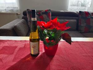 Nápoje v ubytovaní Apartmán Bokova chata