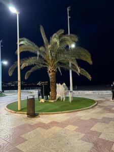 Φωτογραφία από το άλμπουμ του Apartments del sol σε Cullera