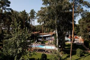 Bazén v ubytování DOM hotel nebo v jeho okolí