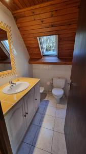 a bathroom with a sink and a toilet and a window at Chalet Vielle Louron in Vielle-Louron +16 photos