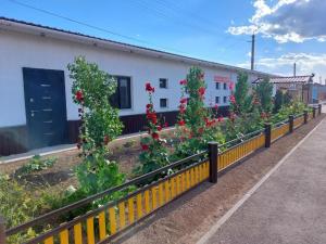 a row of flowers in a fence in front of a building at Elite Capsule Hotel in Balqash