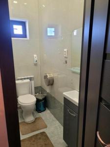 a bathroom with a toilet and a sink and a mirror at Elite Capsule Hotel in Balqash +24 photos