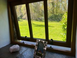 a window with a view of a green yard at The Old Cowshed - B and B in Pembroke +25 photos