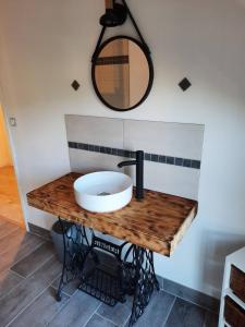 a bathroom counter with a sink and a mirror at Gîte Bambou, Beauval Zoo in Seigy +14 photos