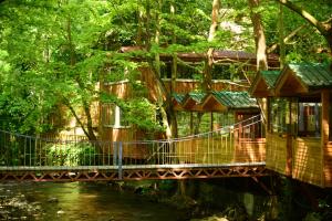 a tree house with a bridge over a river at Karaaslan Kamping Tesisleri in Kazandere