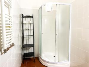a shower with a glass door in a bathroom at Guesthouse Cetate in Oradea