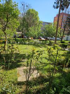 a park with green grass and trees and buildings at Apartament Alina - la parter & parcare rezervata in Deva
