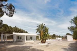 a white house with a palm tree in front of it at Villa Boutique Can Plana in Sant Jordi