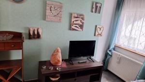 TV a/nebo společenská místnost v ubytování MorgenTau