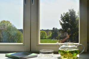 Ein Garten an der Unterkunft An Den Wiesen Gasthaus am Finowkanal